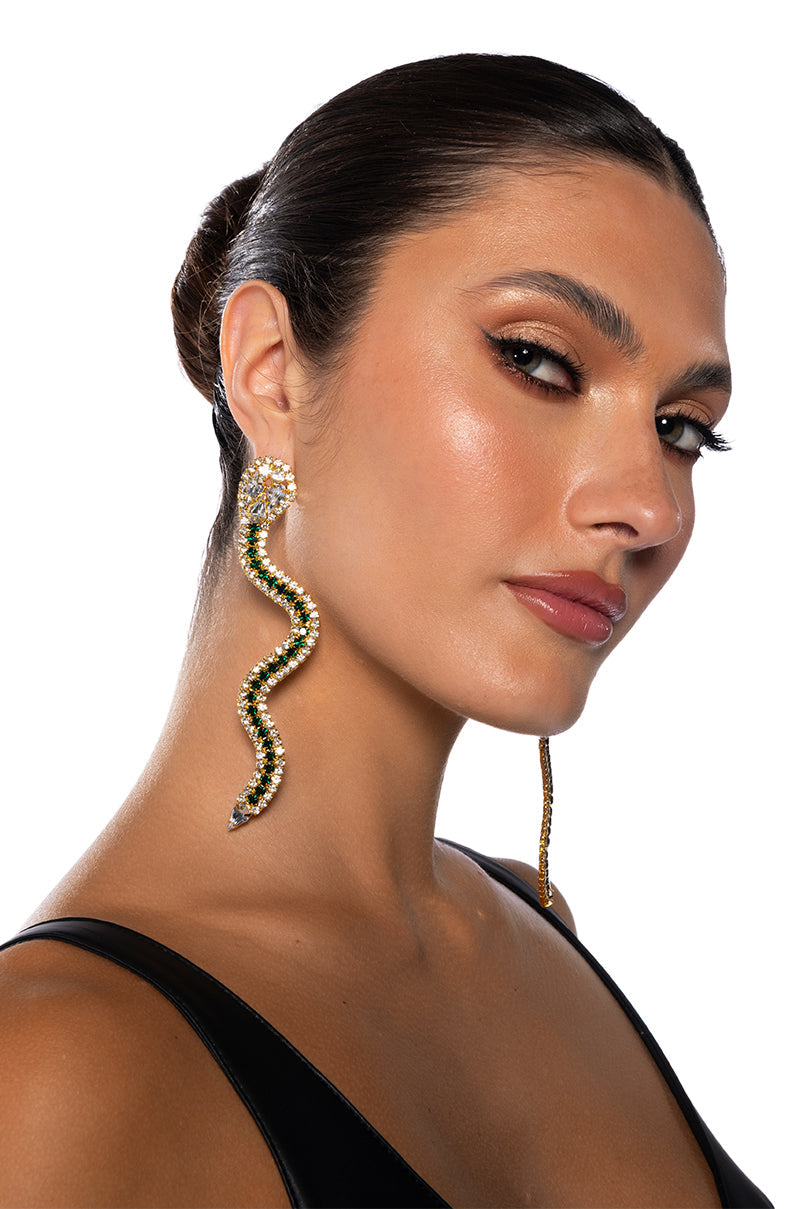 WATCH OUT FOR SNAKES EARRING - Image 4
